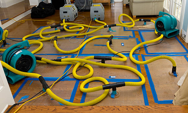 Professional Burst Pipe Water Damage technician working in Belvidere, IL